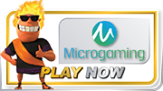 Micro Gaming